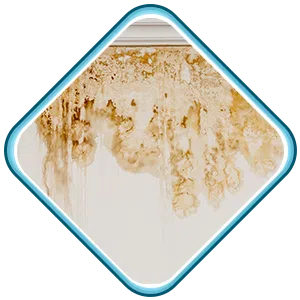 North Miami Beach Restoration Expert North Miami Beach, FL 786-353-3912 - sb-ser-03
